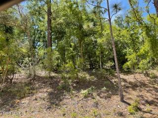 Compass Lake Hills Unit 5 - Land