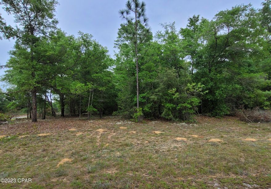 Beautiful corner building lot in Sunny Hills.  Lot is mostly wooded with a mixture of hardwoods and pine. Close to the main entrance for easy access to Hwy 77. New homes are being built in the area. Several fishing lakes in the area. Golf course. Seasonal swimming with a paid pass at clear 
Boat Lake. Approximately 40 minutes to Panama City Beach, Pier Park shopping, and Northwest Florida Beaches International Airport. Approx. 20 minutes from Chipley for local shopping and amenities.