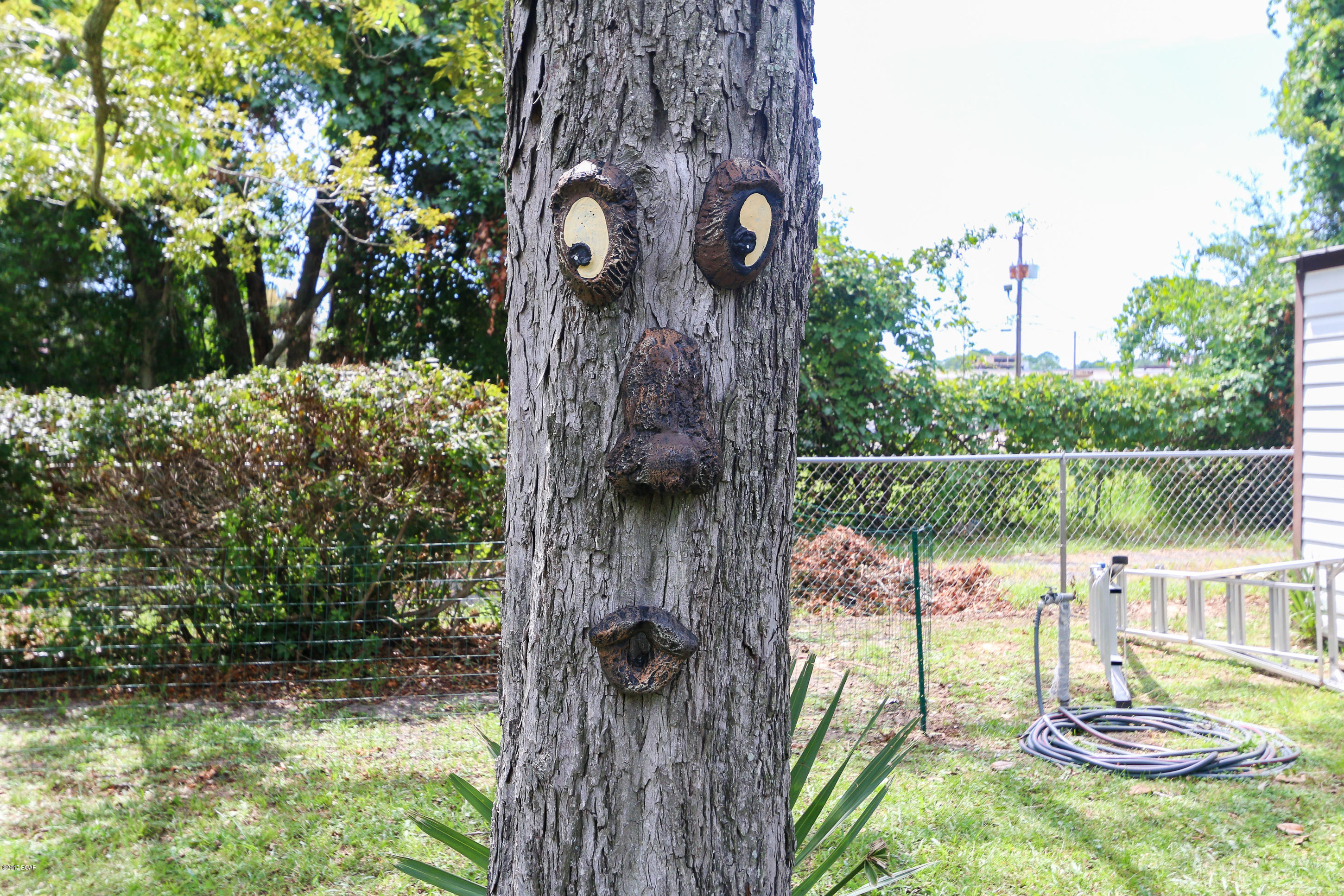 Sunnyland Heights - Residential