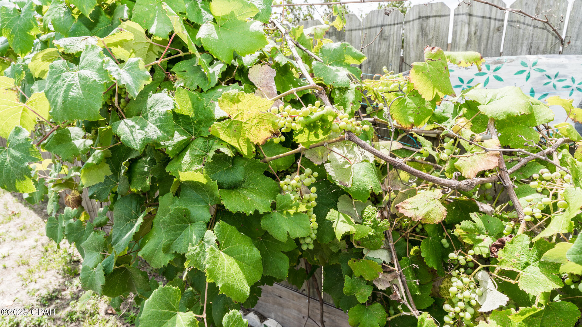 Callaway - Residential