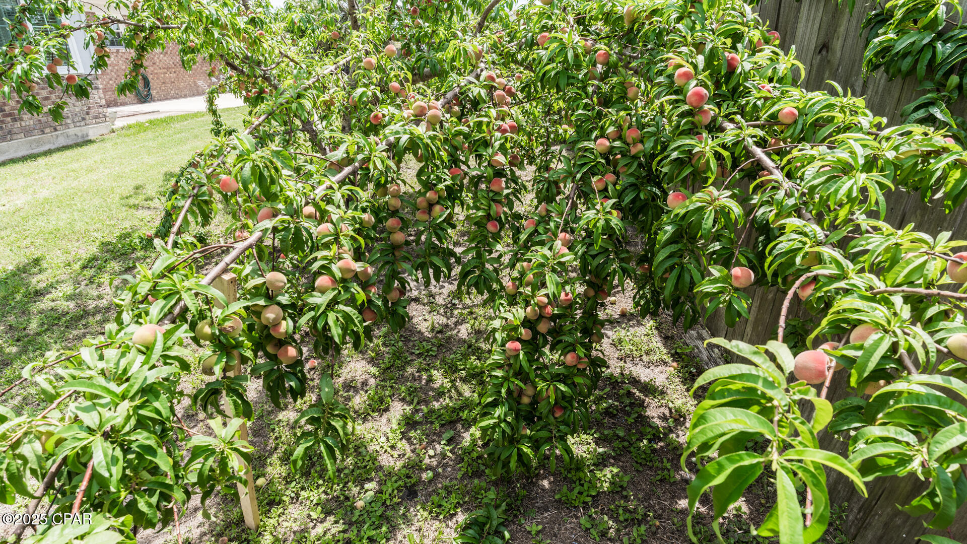 Callaway - Residential