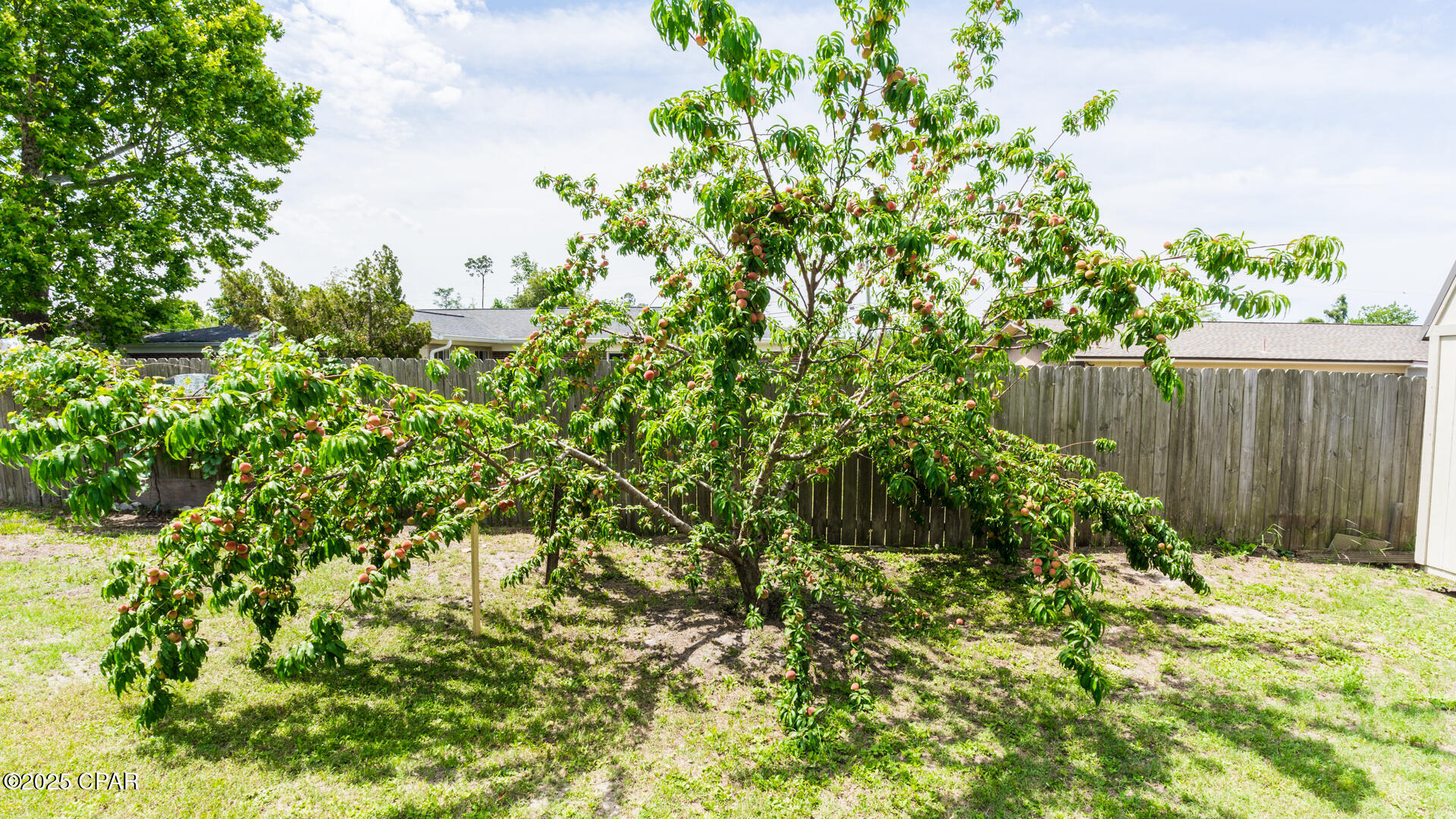 Callaway - Residential