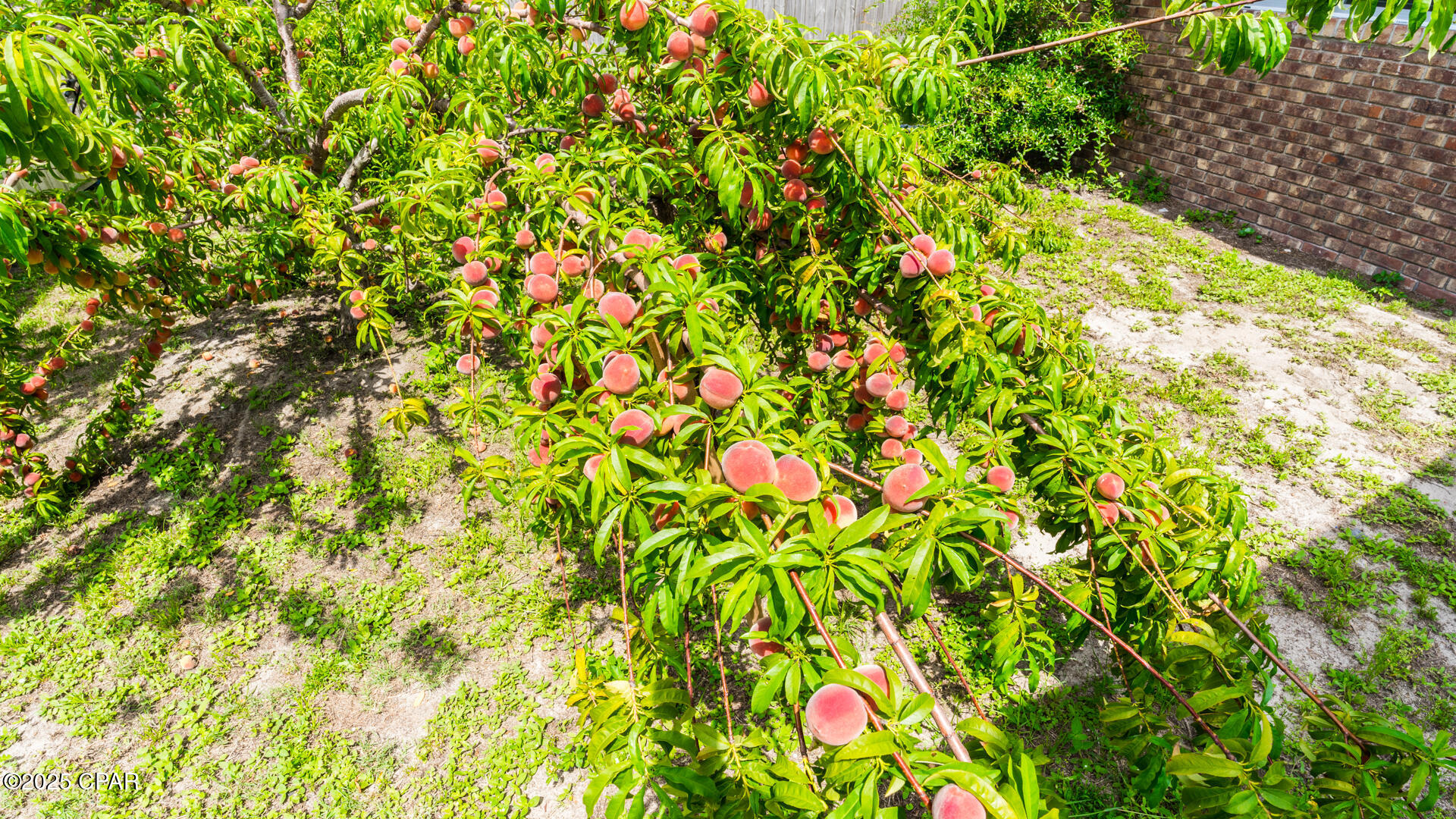 Callaway - Residential