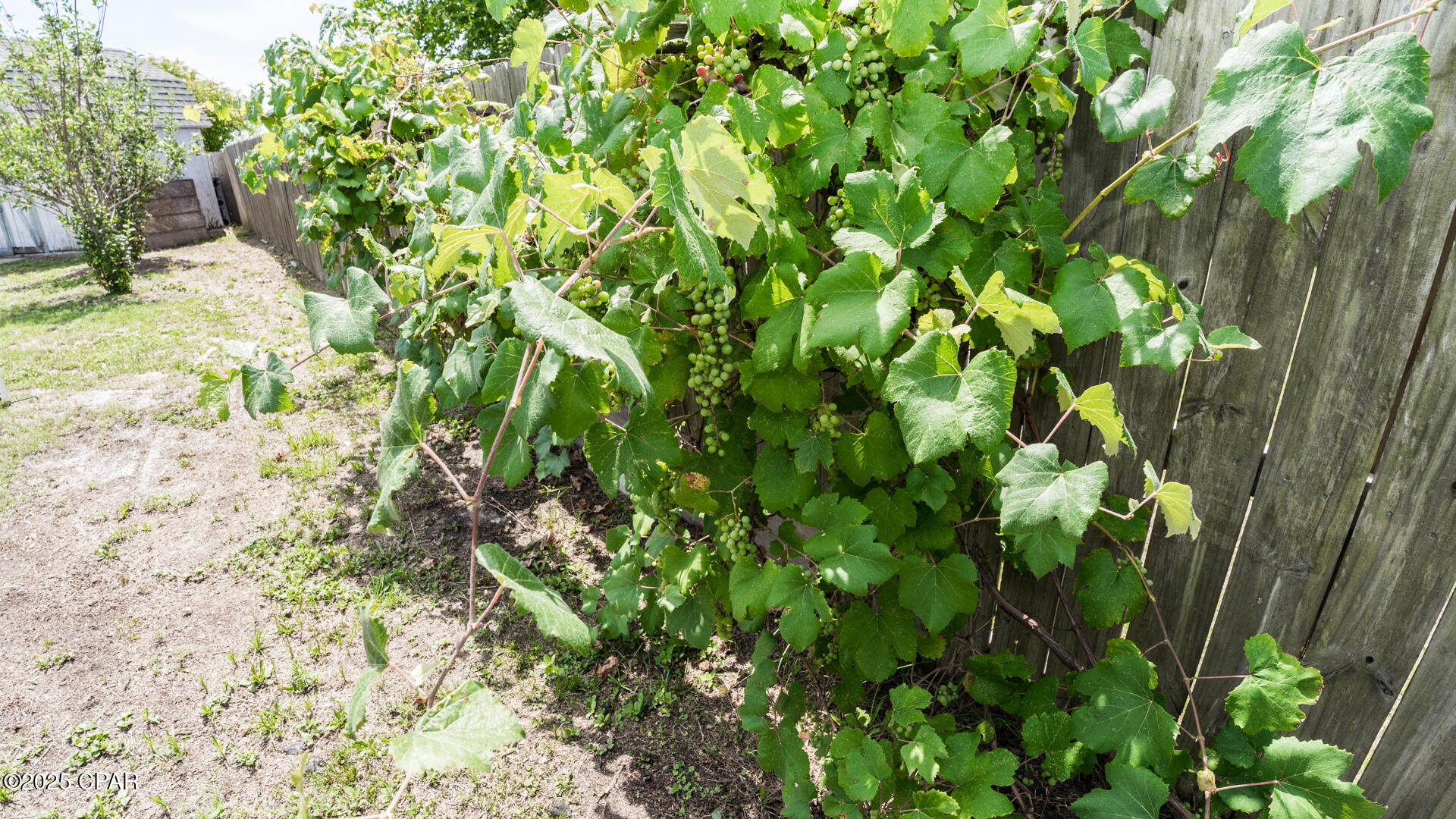 Callaway - Residential