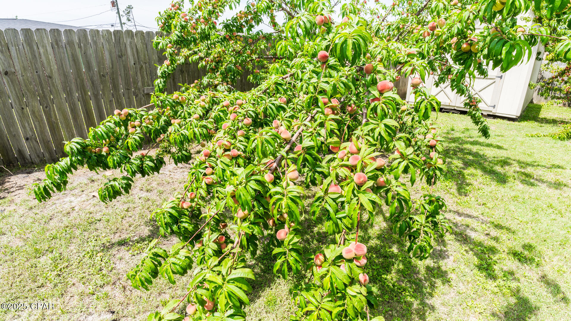 Callaway - Residential