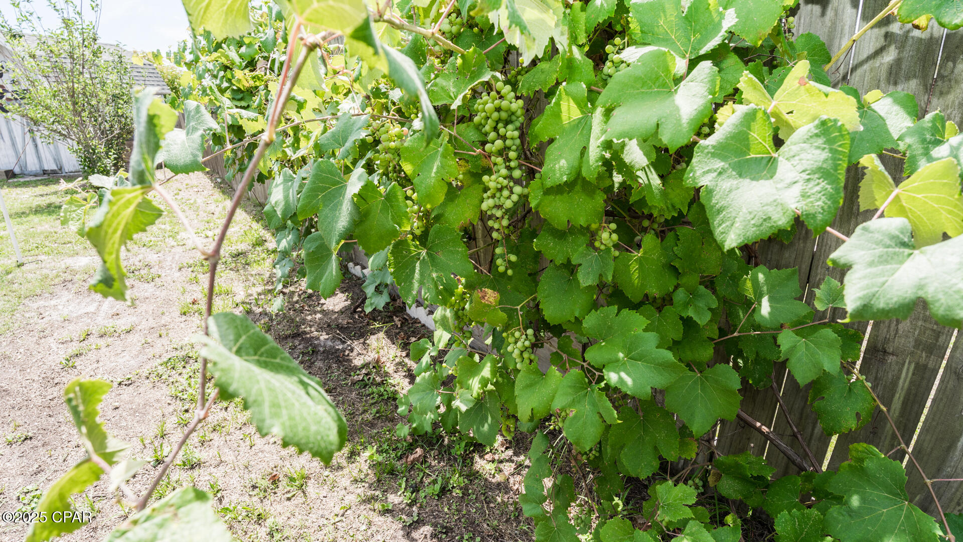 Callaway - Residential