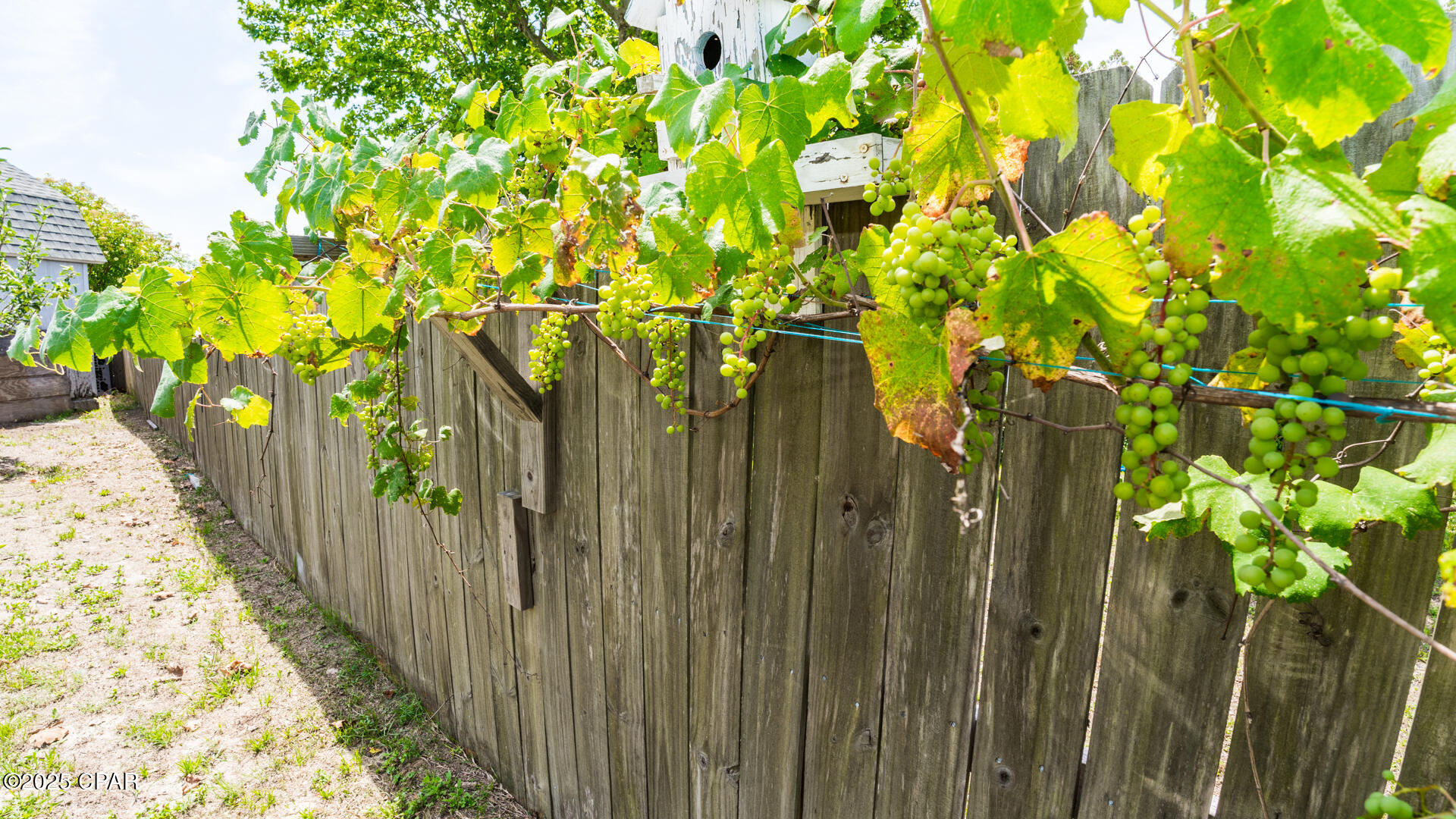 Callaway - Residential