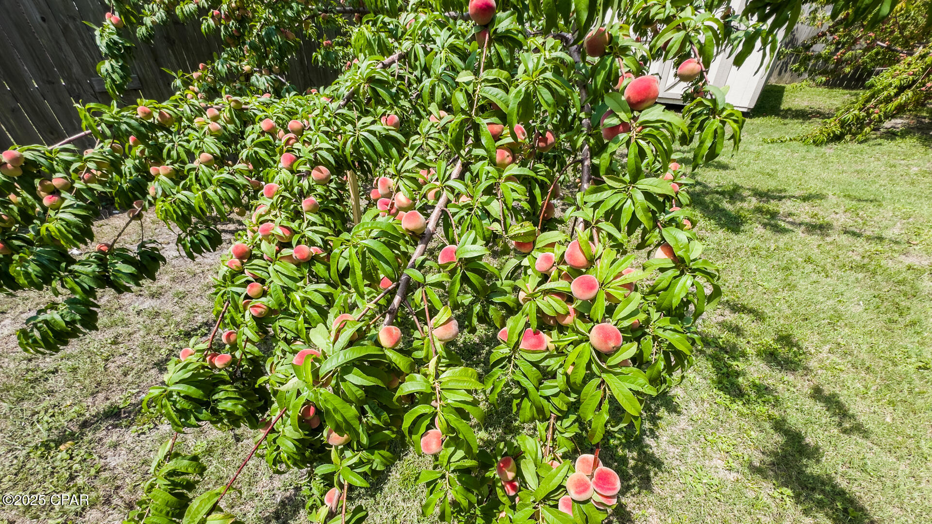 Callaway - Residential