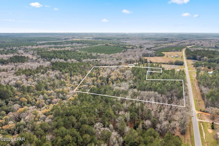 A Hunter's Paradise! This beautiful wooded property has a tranquil creek that runs through it making it a sanctuary for wildlife.  The highway 2A frontage could be cleared for a beautiful homestead.  Although a remote area, cell service is never a problem thanks to a cell tower on the neighboring parcel.  It's about 15 miles from Geneva Alabama and 1 hour north of the beaches.