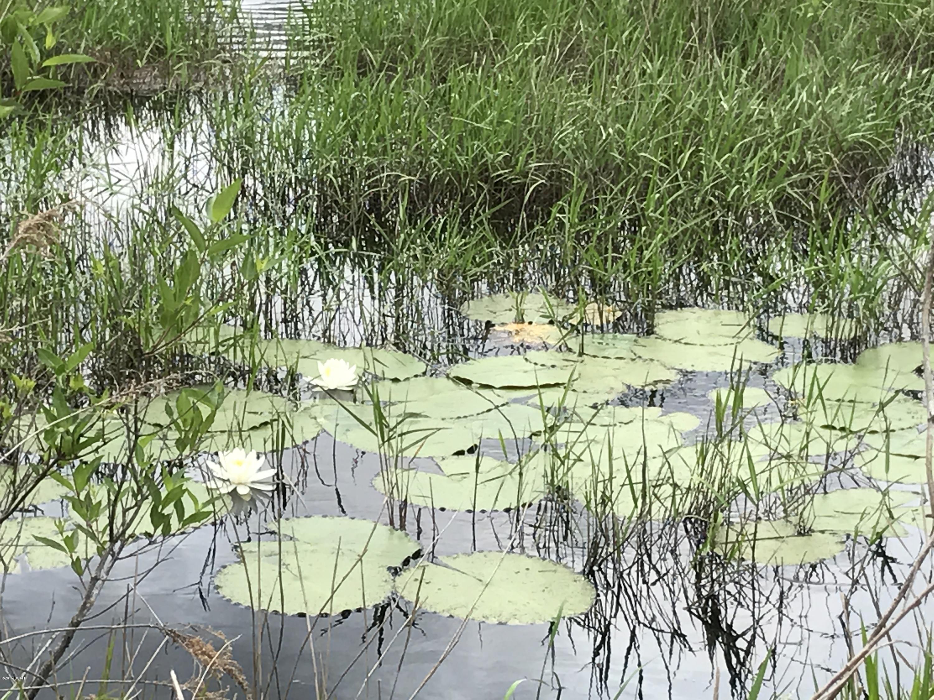 Chipley - Residential