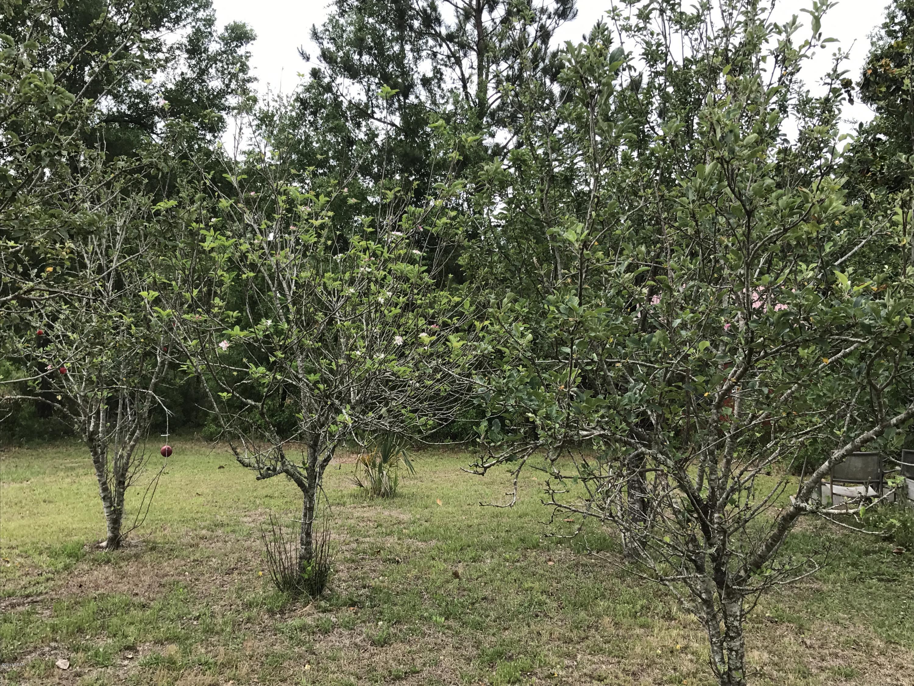 Chipley - Residential