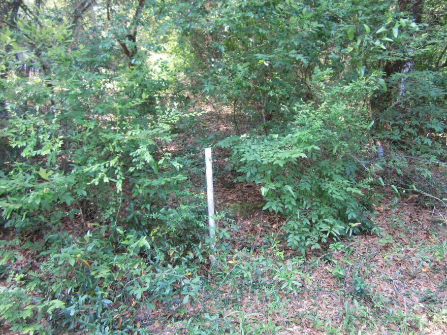 1/2 acre property directly across street from and waterview of Hicks Lake. Pretty oak shaded property with plenty of outdoor recreation with boat ramps on Lucas, Hicks and Stewart Lakes, paved roads all the way to property front, underground utilties. This is beautiful vacant land surrounded by full time home owners and weekenders. Sign positioned about middle of property. Vacant.