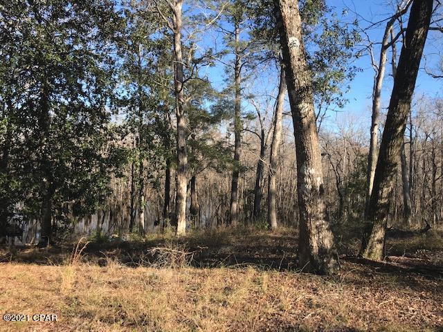 River Ranch Retreat - Land