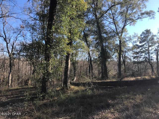 River Ranch Retreat - Land