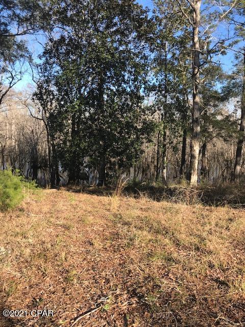 River Ranch Retreat - Land