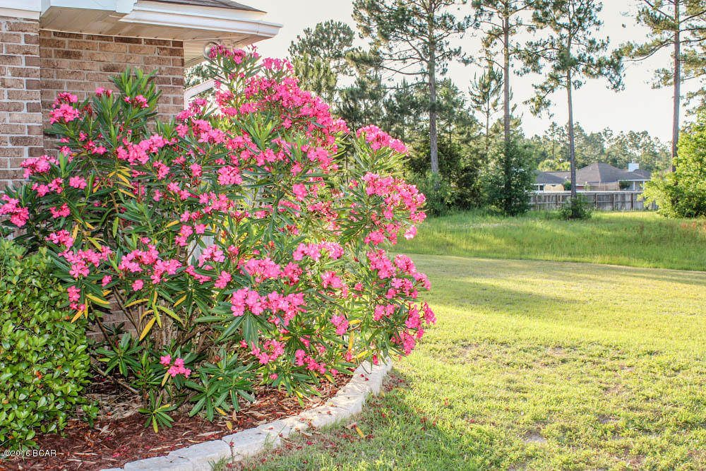 Magnolia Meadows - Residential