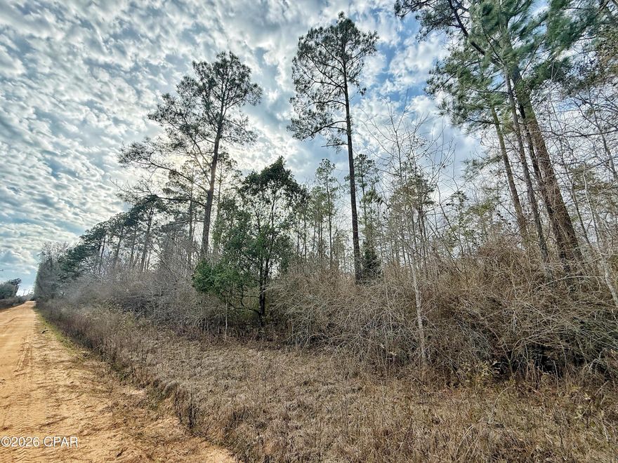 Discover the perfect blend of privacy and possibility with this beautiful 20-acre tract in Cottondale. Tucked away on a quiet dirt road, this property offers the peaceful country setting you've been searching for.
All high and dry and located in no flood zone, this wooded parcel features planted pines that create a scenic backdrop and natural privacy. Whether you're dreaming of building your forever home, placing a manufactured home, starting a mini farm, or simply investing in land, the options are wide open here.
With no deed restrictions, you have the freedom to make this property truly your own. Enjoy the space, seclusion, and endless potential that 20 acres provides -- perfect for a private homesite, or recreational retreat. 
If you've been waiting for acreage with flexibility and room to breathe, this is it.