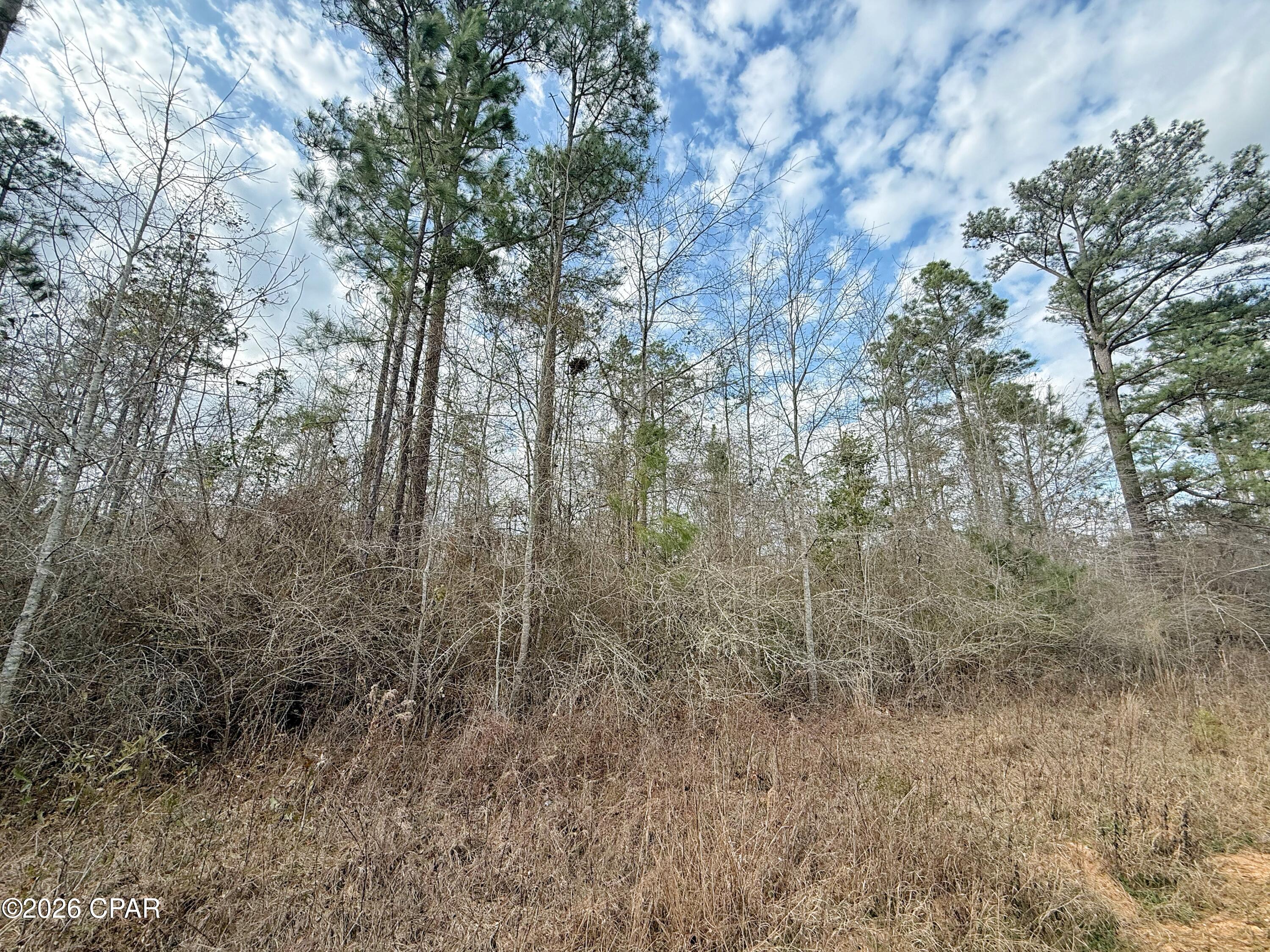 [No Recorded Subdiv] - Land