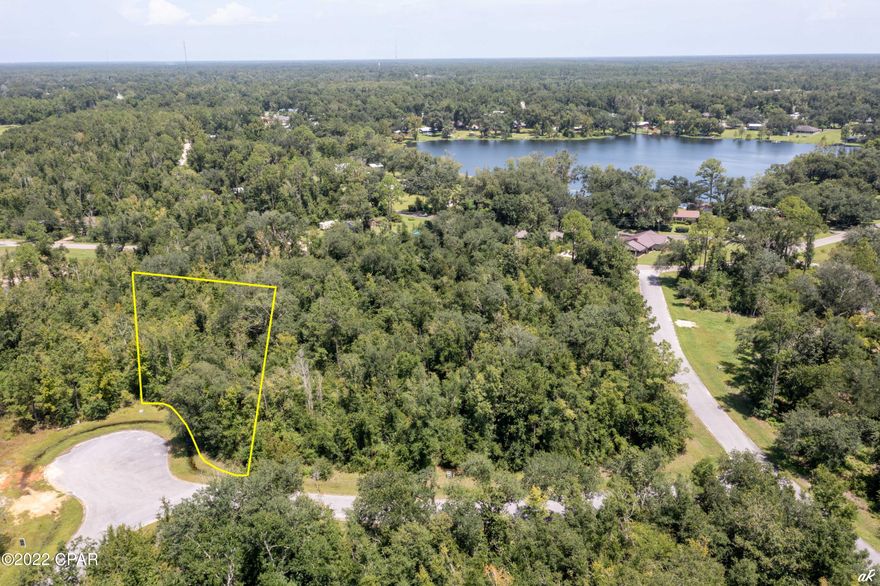 Opportunity tucked back off Seven Springs Road, this lot is a little over a half acre and ready to be developed. Ready for you to design and build your dream home in the relaxed little town of Wewahitchka. Minutes away, Dead Lakes offer some of the best freshwater sport fishing in the nation and are sure to provide anglers with enjoyable fishing days. This opportunity to own your personal haven away from it all will not last long. Take a look, wander around the city's downtown Lake Alice Park and make an offer today if this is your slice of serenity.