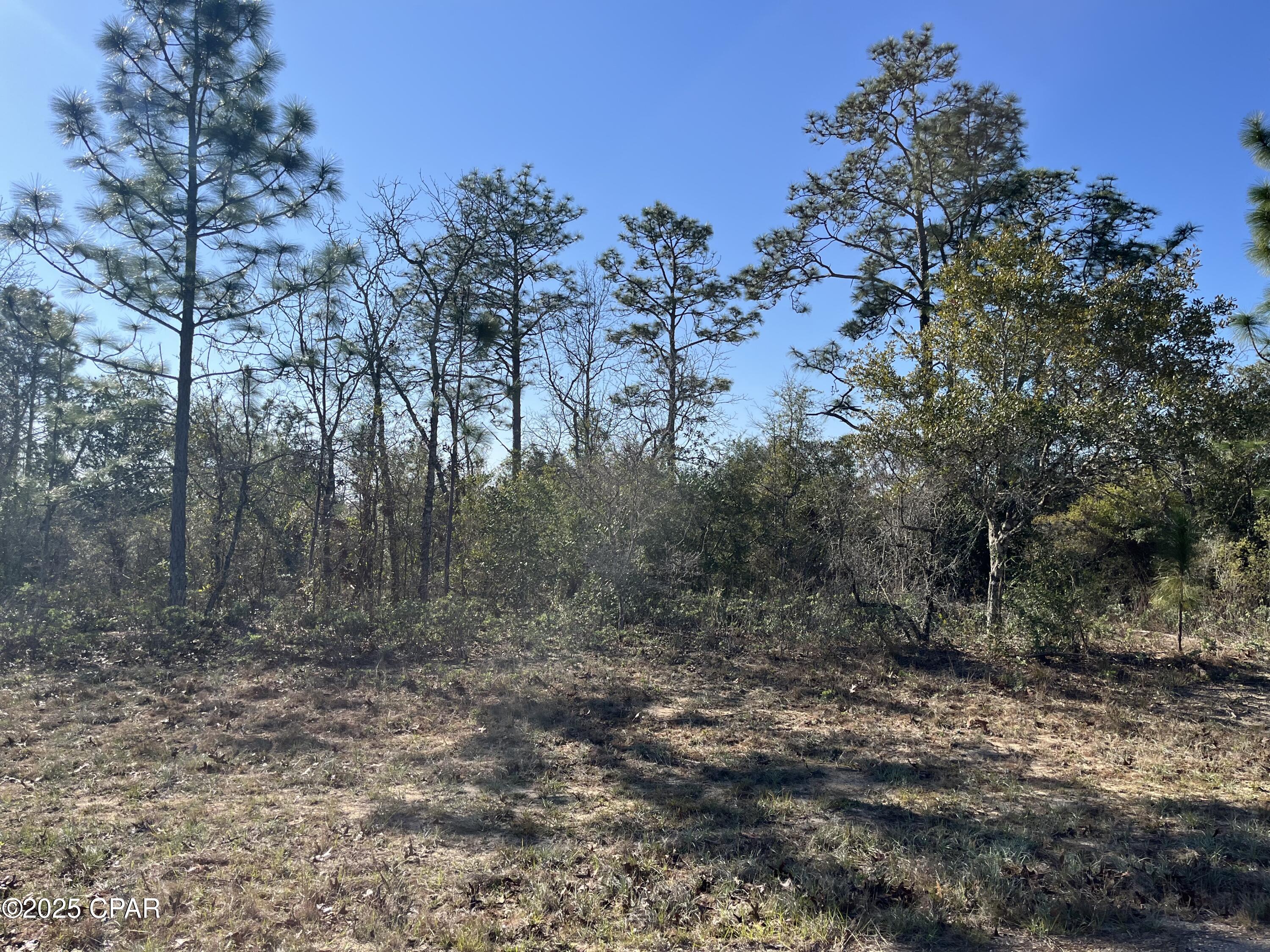 Sunny Hills Unit 8 - Land