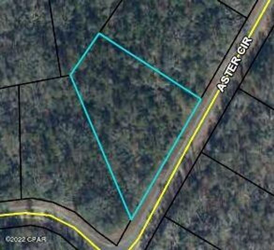 A large wooded lot at Compass Lake on the Hills. Did you know that owning property in Compass Lake provides you access to several amenities like a pool, driving range, kayaking, private boat ramp, paddle boarding, fishing, swimming, horseback riding and much more? There are several lakes/ponds in this community with great fishing and swimming. With just a little bit of land clearing, this property can be a dream homestead site. 

This owner has 17 other properties for sale in Compass Lakes. Make an offer on the other properties and get them as a package deal!