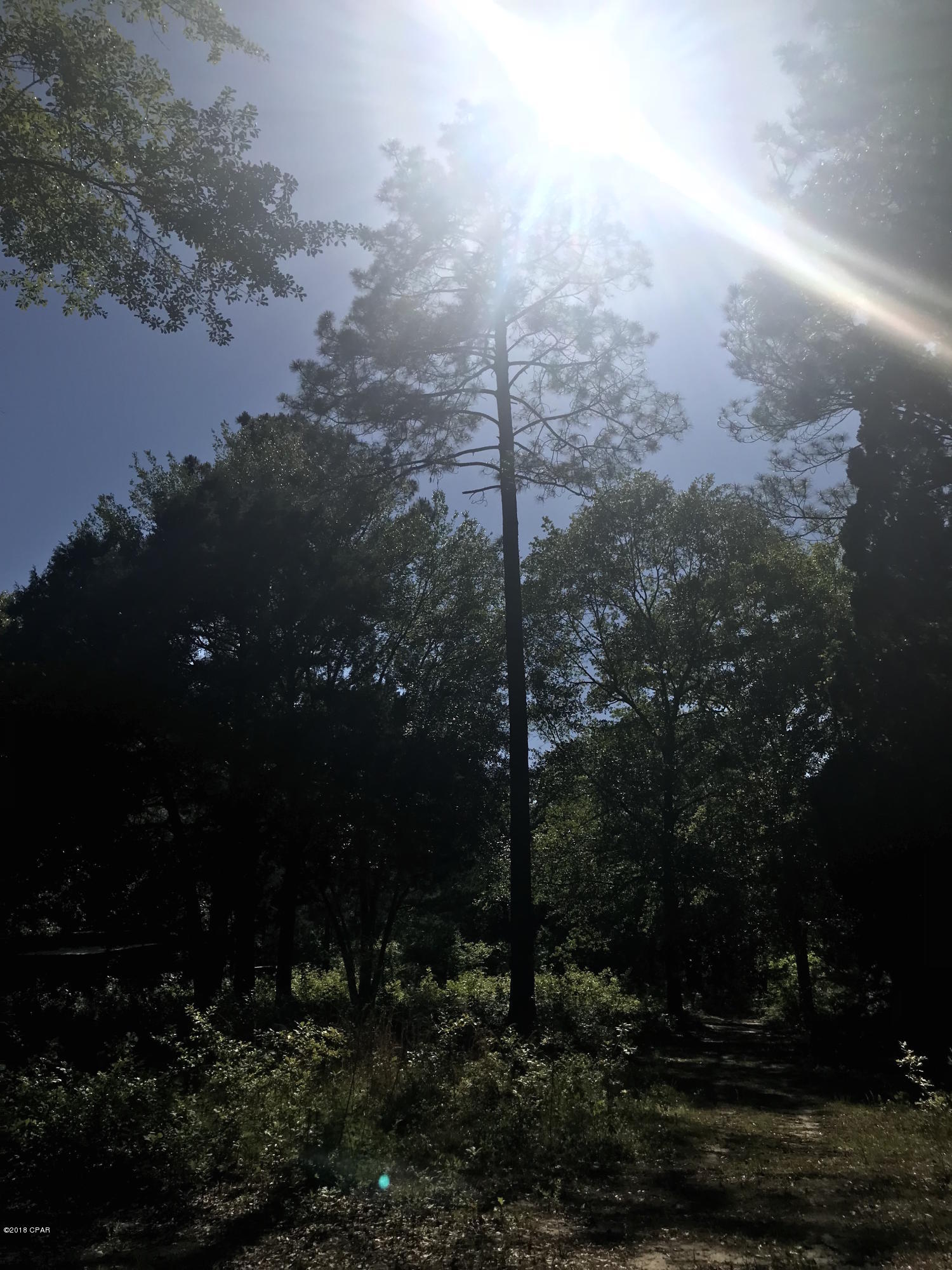 Cedar Wood Estates Ph 2 - Land