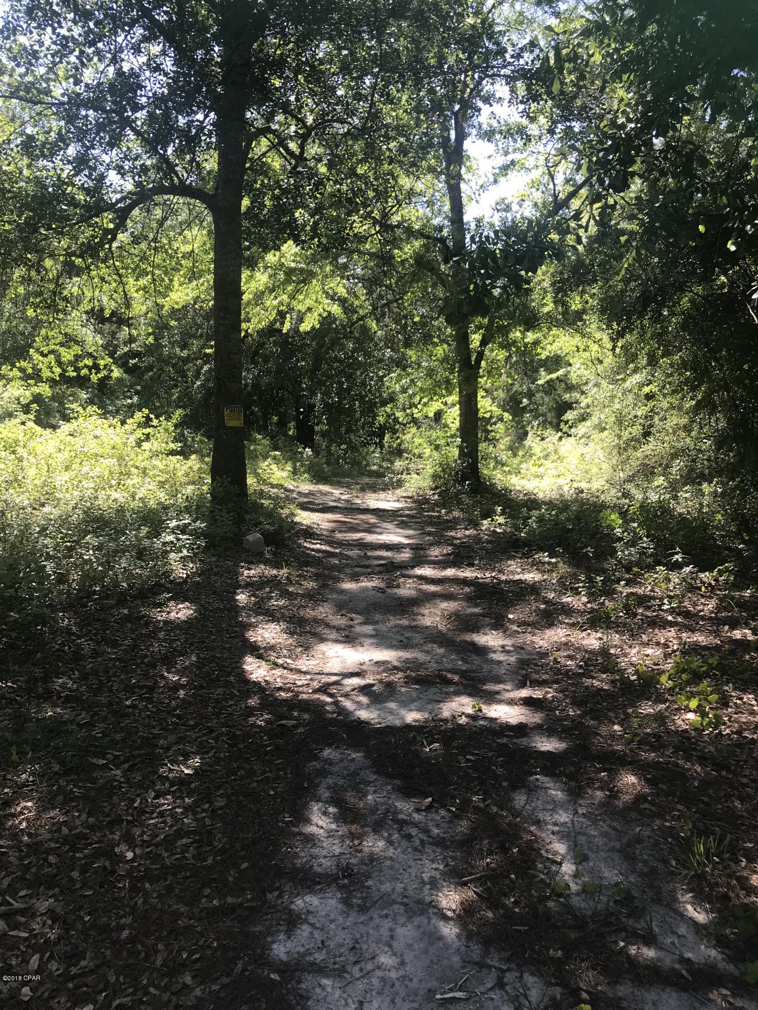 Cedar Wood Estates Ph 2 - Land