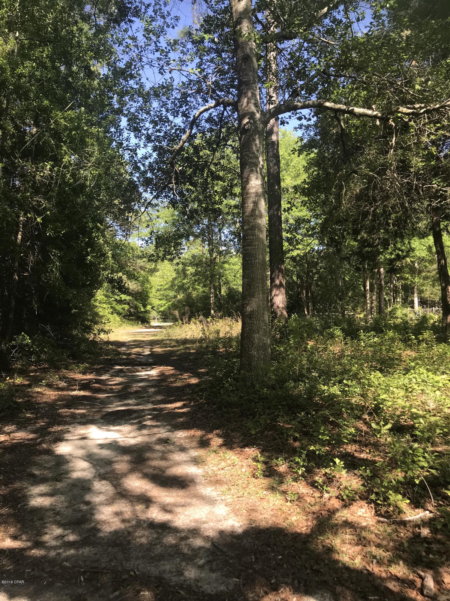 Cedar Wood Estates Ph 2 - Land