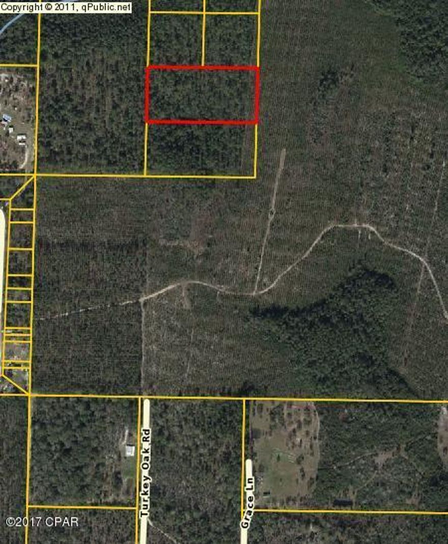 5 Acres Wooded in Flood Zone X. Seller is unaware of access.