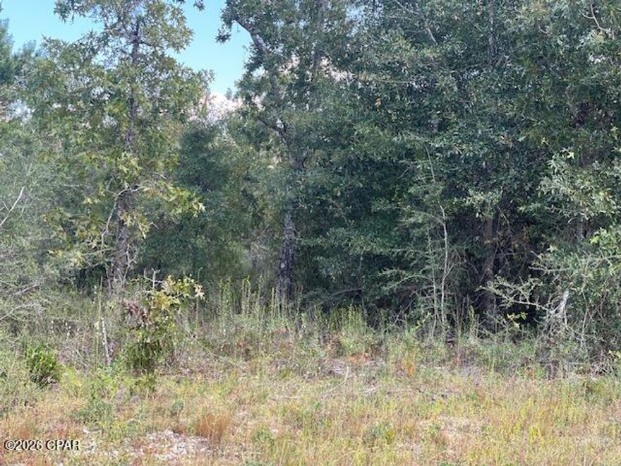 Nice building lot in Sunny Hills sub. south of Chipley and north of Panama City, FL.  This area is great for retirement or family living. There is a nice golf course nearby and shopping is just north in Chipley or only a short drive south down to Panama City.