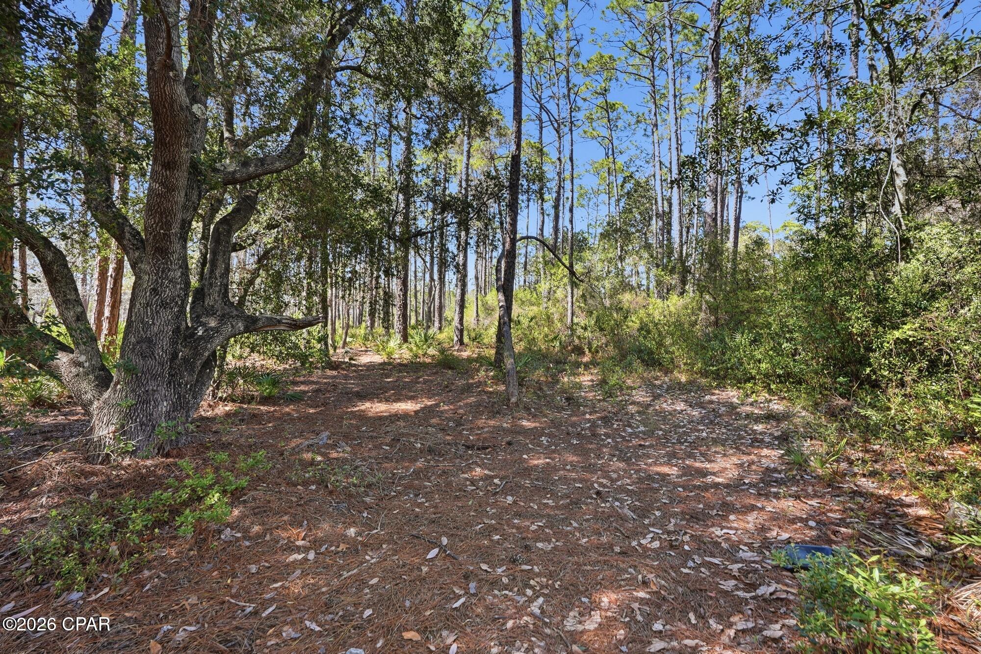 Wild Heron Phase I - Land