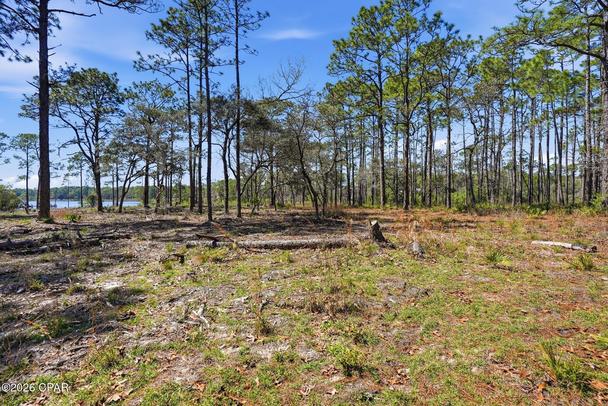 Wild Heron Phase I - Land