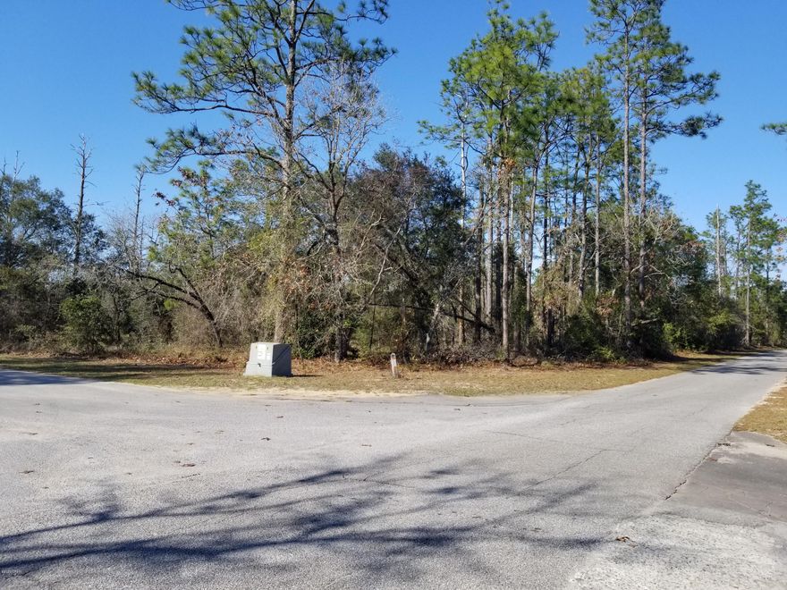 This corner lot has more than 7 acres and has road frontage on Leisure Lakes Drive and Quail Ridge Drive. It is waterfront property on the lake and has plenty of room for your home, barn and horses. Or just enjoy having acreage in a security gated subdivision with amenities such as a concrete boat launch, fishing, swimming, pool, pavilion with men's and women's restrooms, toddler playground, basketball court, tennis court and more. Enjoy life in the country but not far from Panama City or the beach. The HOA fee is $250 per year per lot and 4 lots make up this parcel.