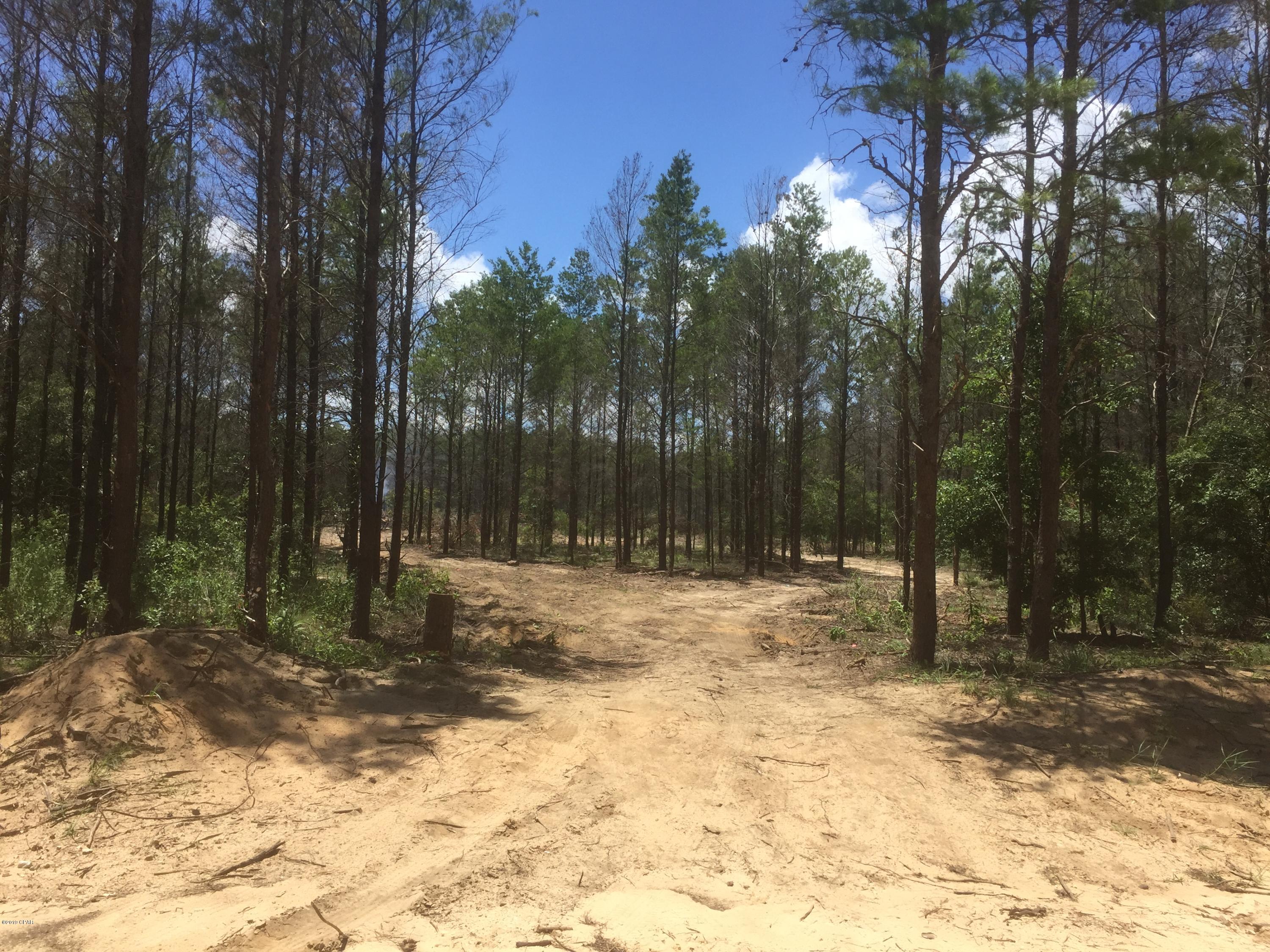 Crystal Village - Land