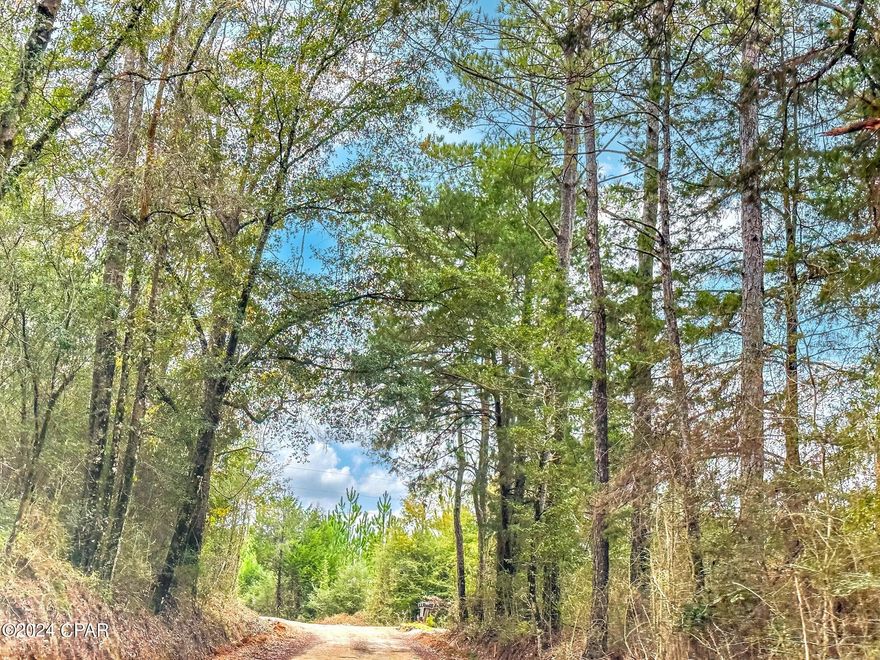 Dream Location for Country Living or Hunters Paradise either way you won't want to miss this opportunity! This Beautiful 97.47+/- Acres of prime land has so much to offer,Planted Pine- Recently Replanted. High Bluff Dirt Road Power available. Bring your build plans, hunting gear, Horses and ATVS LOCATION LOCATION!!!! This Property has Easy Access to Panama City Beaches I-10, Hwy 79, Hwy 81, and Hwy 90. DEED RESTRICTIONS. SEE DOCUMENTS
