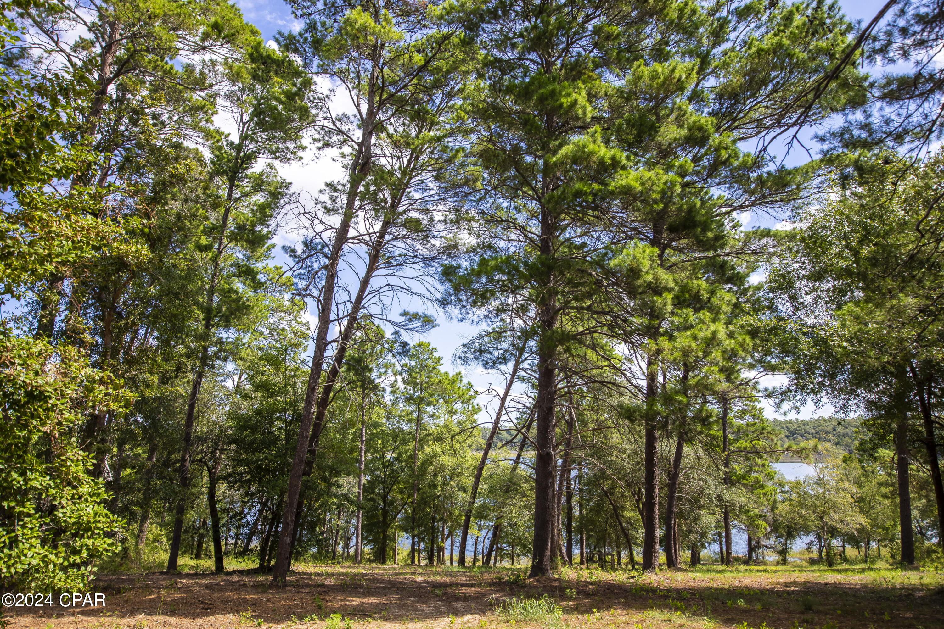 Leisure Acres - Land