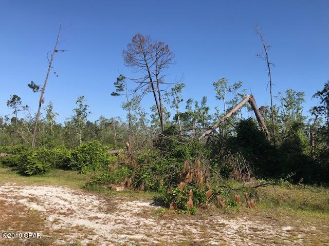 Palmetto Ridge - Residential