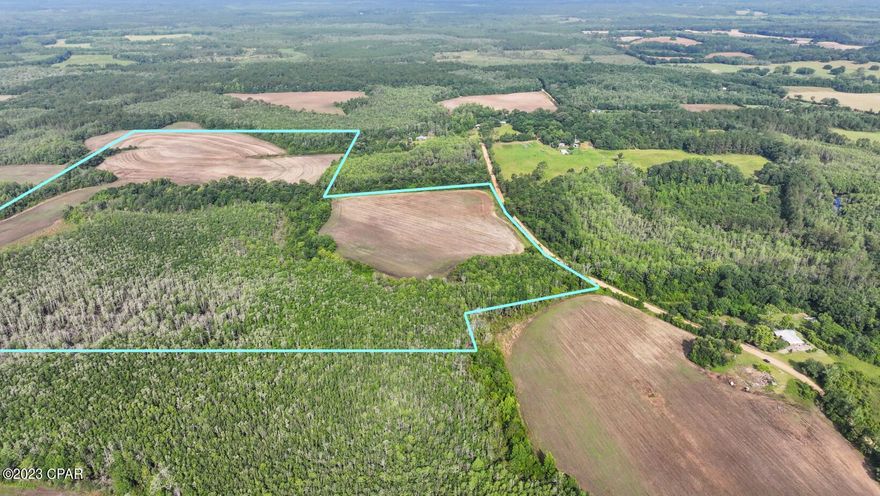 103 +/- rural acres that are currently being surveyed. Approximately 42 acres of the property is dry and most of it is being farmed. The remainder of the property features Cypress ponds/swamps. Just under 1k ft. of road frontage. This peaceful property would be a great spot for building, hunting, farming, homesteading and more! Farm it yourself or build on a portion and lease the other land. There are many opportunities available with this large piece of property. A survey will convey with the property at closing, saving you about $4k! Note that the property appraiser's GIS map is not accurate as this parcel is being split from the larger parcel. The lines on the aerial listing photos are a better representation of the property lines, but are not guaranteed to be exact. The survey will reflect actual property boundary lines and corners.