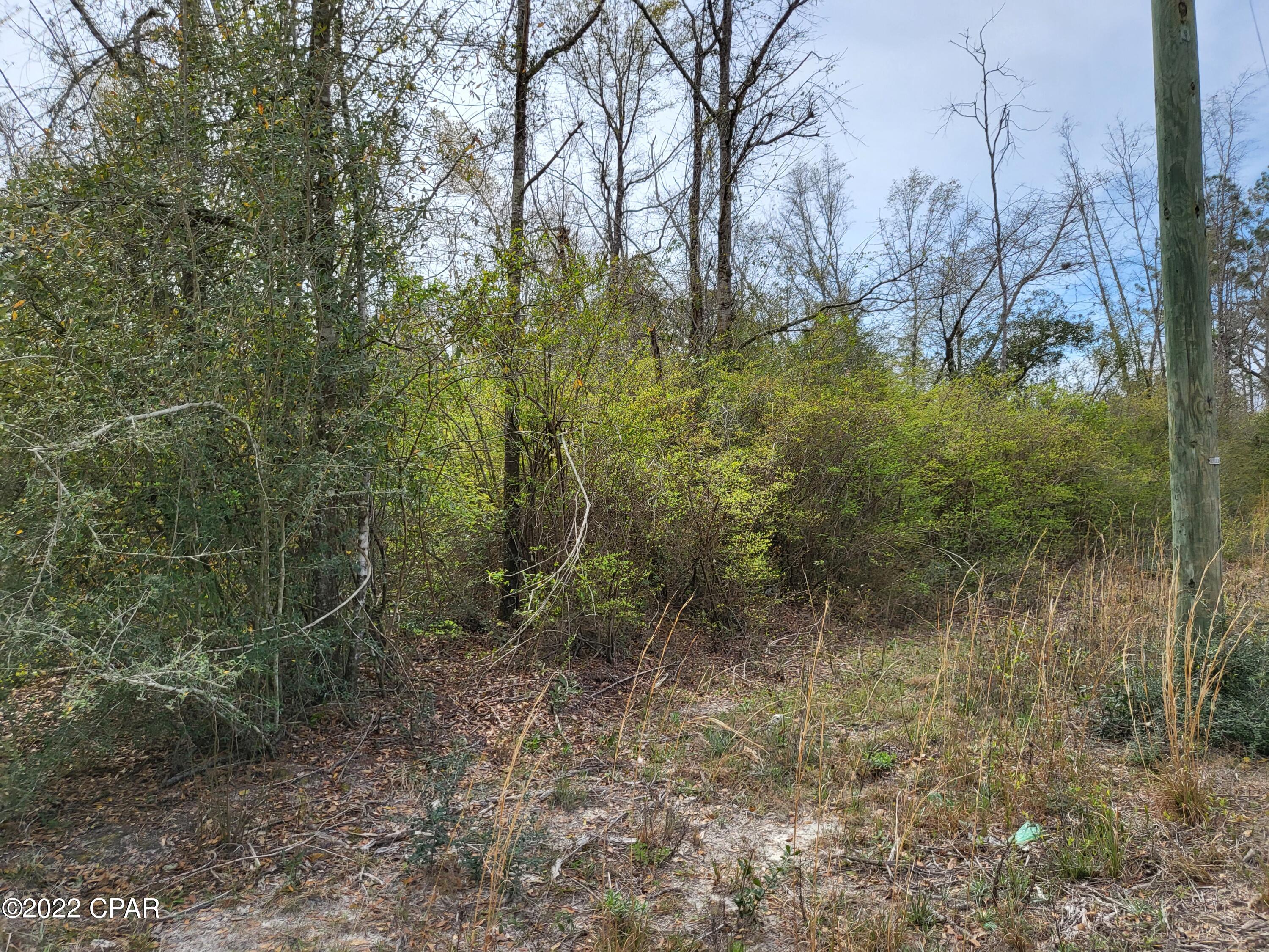 Pinecrest - Land