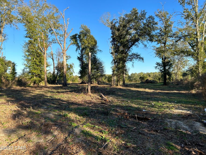 Bring your plans and build your home on the outskirts of town. If you're looking for a nice small acreage homesite, then this affordable Florida property just might be for you. The selectively cleared acreage offers several ideal locations for the placement of your future home. You may decide to build under the beautiful oaks with the front of your home positioned to greet the morning sun, Or perhaps you'd prefer your porch to face westerly and your home to sit in more open-ground. Either way, double road frontage makes these options possible. Give us a call today to take advantage of this very good deal! Bring your plans and build your home on the outskirts of town. If you're looking for a nice small acreage homesite, then this affordable Florida property just might be for you. The selectively cleared acreage offers several ideal locations for the placement of your future home. You may decide to build under the beautiful oaks with the front of your home positioned to greet the morning sun, Or perhaps you'd prefer your porch to face westerly and your home to sit in more open-ground. Either way, double road frontage makes these options possible. Give us a call today to take advantage of this very good deal!