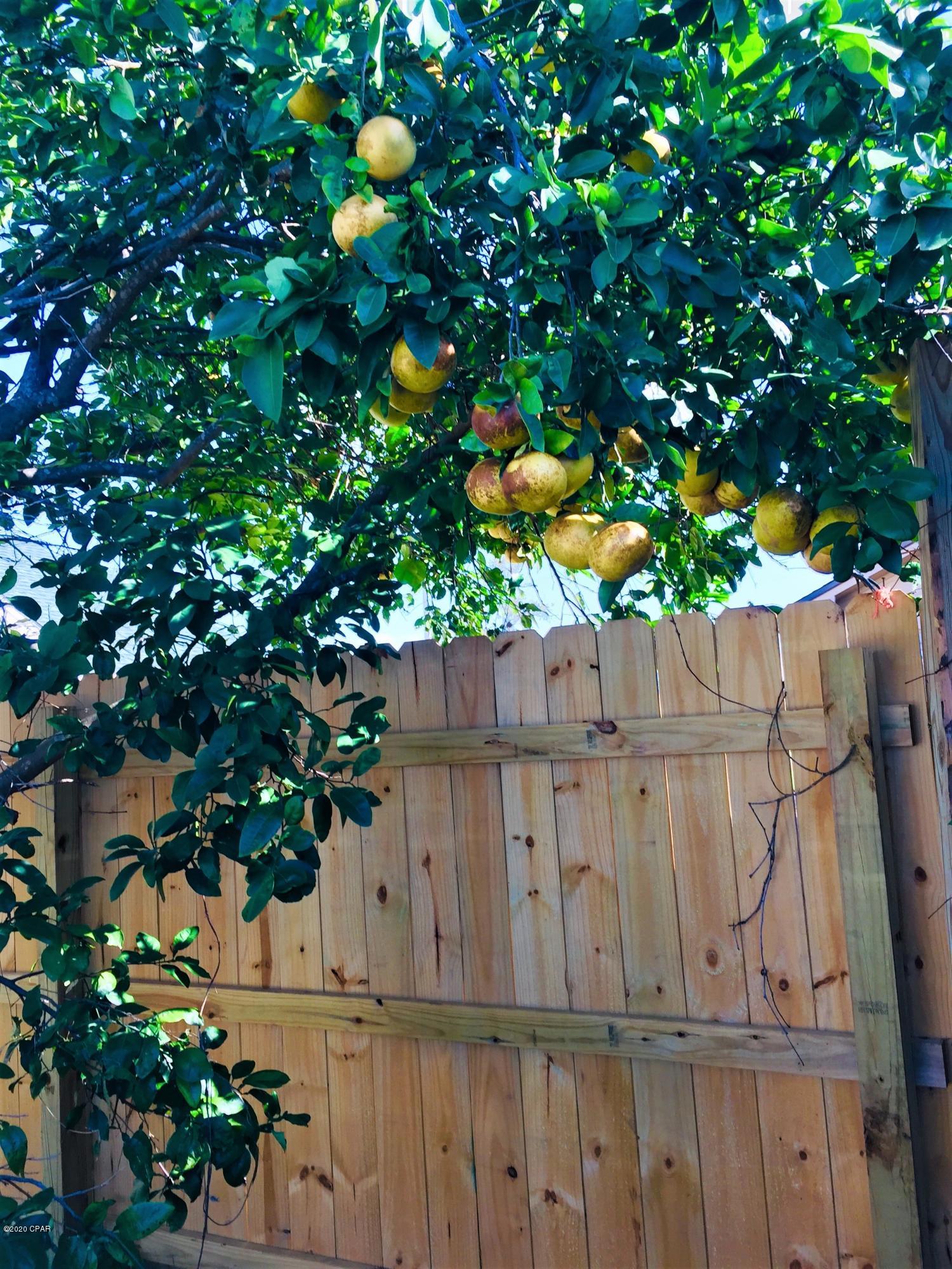 Forest Park East U-2 - Residential