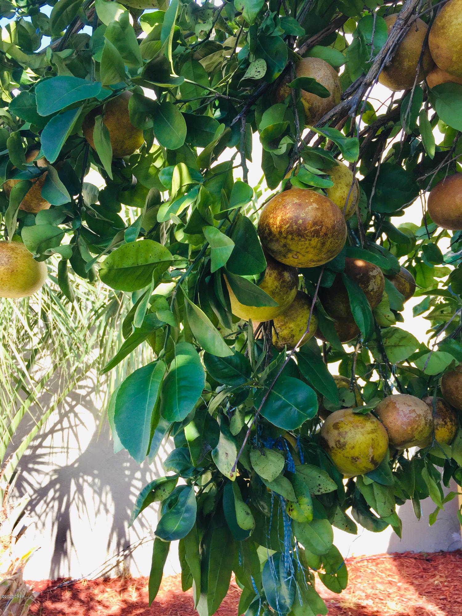 Forest Park East U-2 - Residential