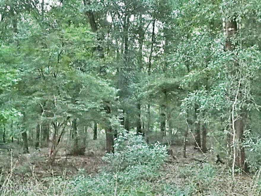 Own your place in the country. This parcel almost 7.5 ac is on a good graded road, partially cleared to build or put a mobile home on, some natural woods, lots of wildlife in the area,very close to Torreya state park, call agent to view this property or drive by and see it for yourself.