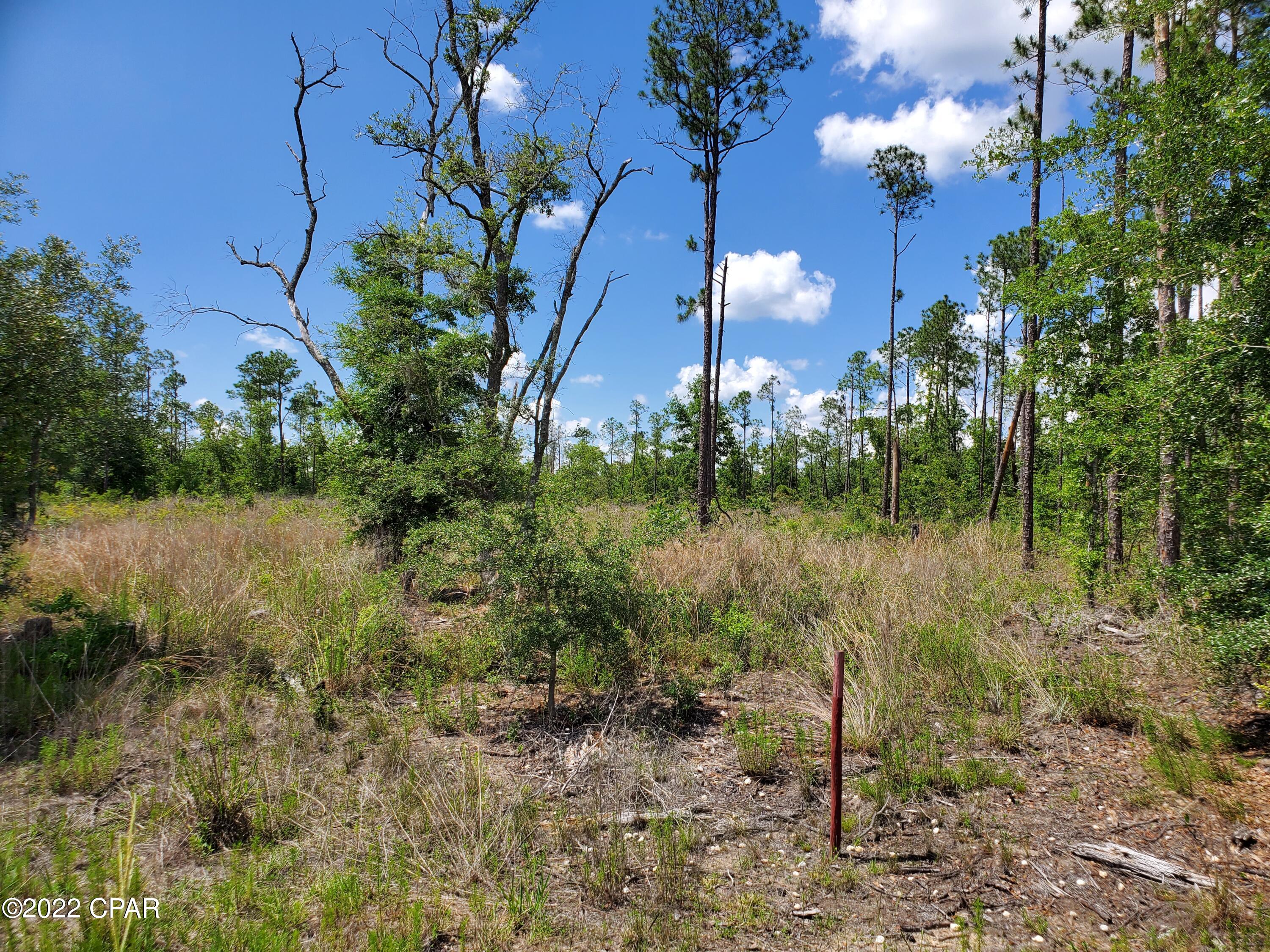 Compass Lake Hills Unit 5 - Land