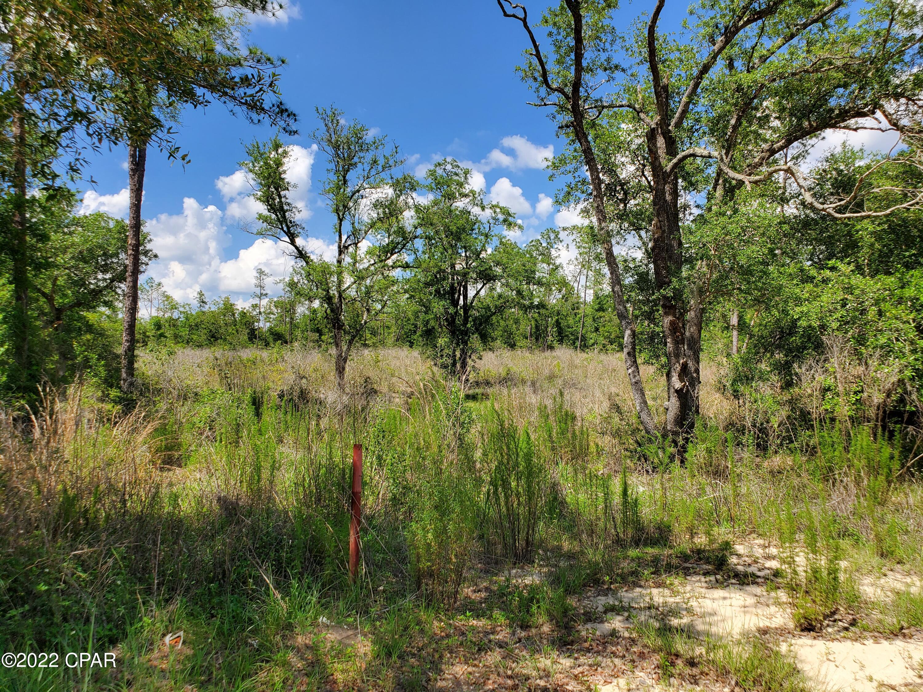 Compass Lake Hills Unit 5 - Land