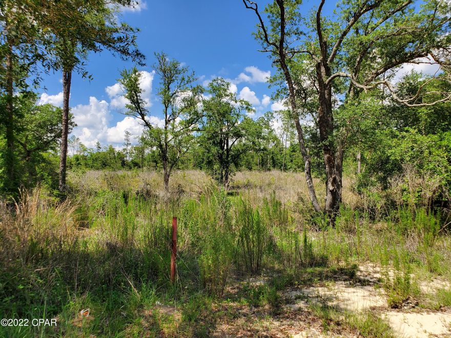 Peaceful wooded lot in Compass Lake in the Hills near McCormick Lake. Build your home with a beautiful view of the pond across the road. NON MANDITORY POA fee of $135 annually for some amenities. LAKE ACCESS is FREE. Restrictions, NO mobile homes but modular are ok. Min 1000 sq ft heat and cooled on fixed foundation.