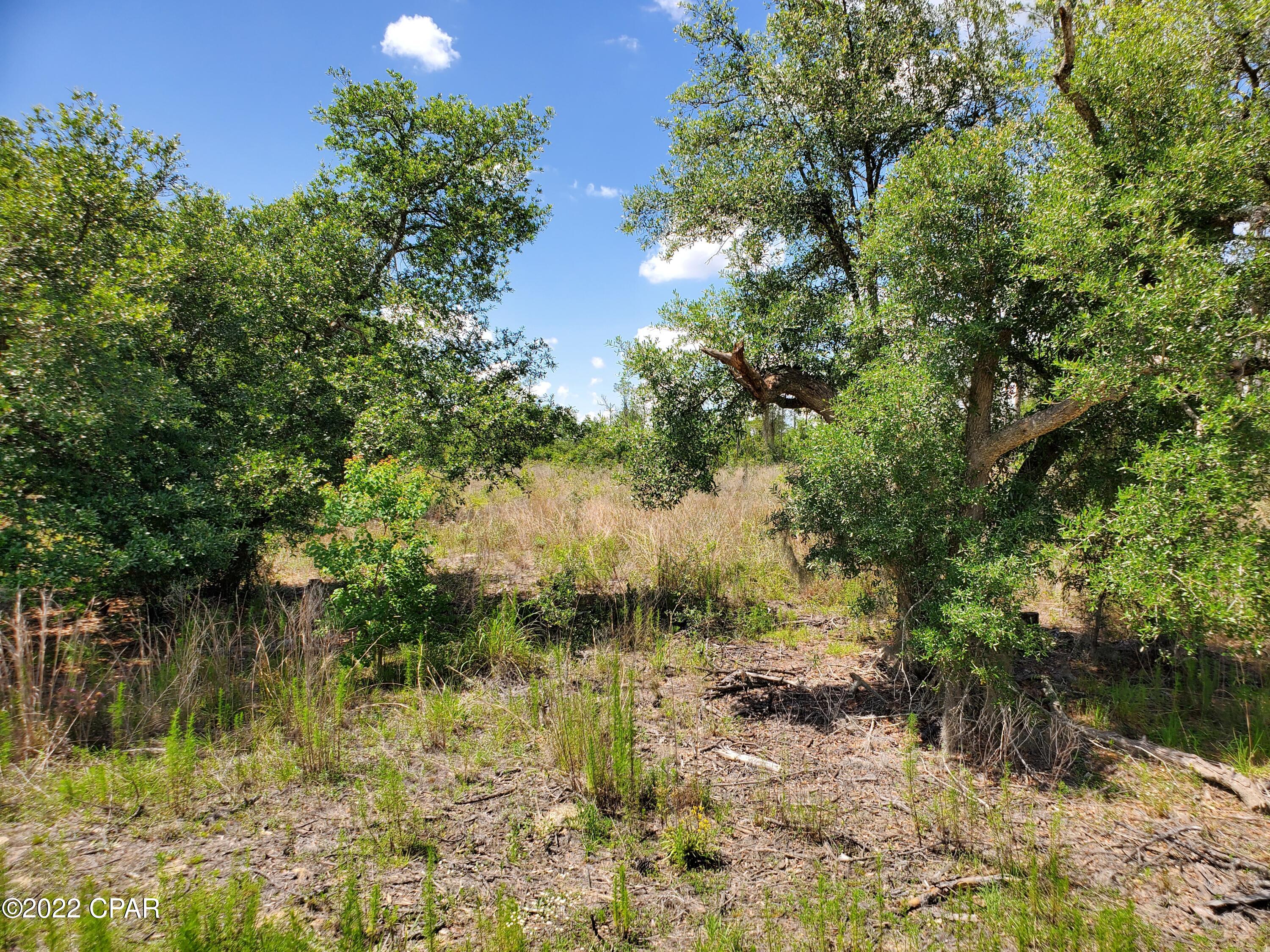 Compass Lake Hills Unit 5 - Land