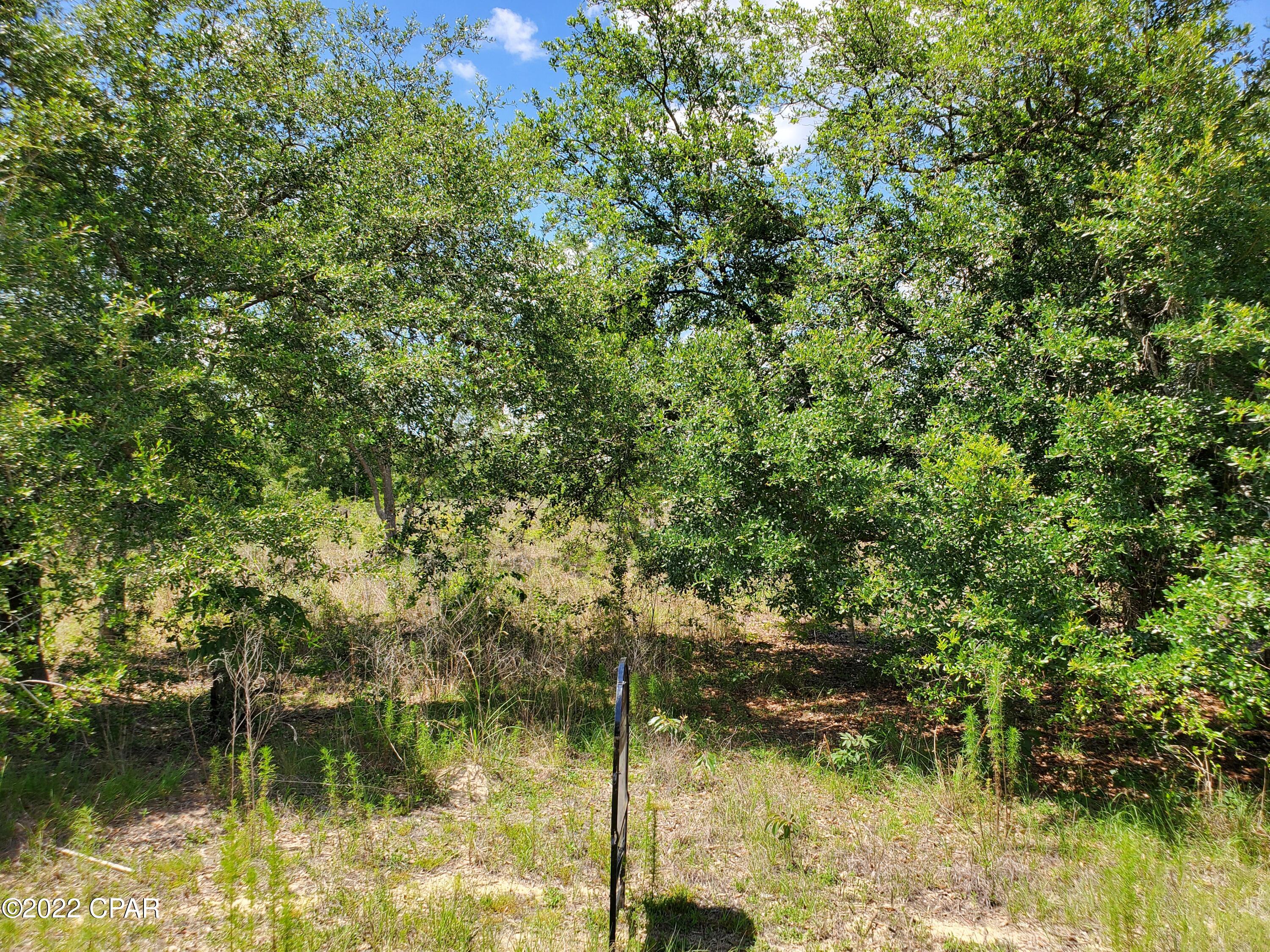 Compass Lake Hills Unit 5 - Land