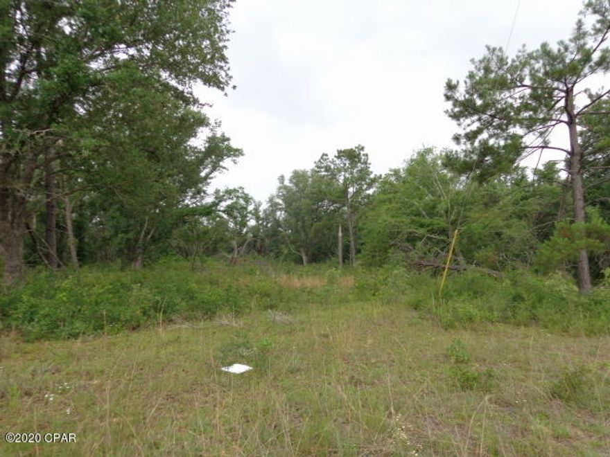 Wooded Lot on a paved road.  Short distance to Hwy 167 ( Panama City cut-off).  45 minute drive to Panama City to Beaches.  All amenities are included, access to 2 lakes - Compass Lake & McCormick Lake, 2 clubhouses, inground pool, tennis courts, cabin and boat rentals Plus MORE. New homes in the area.  https://compasslake.org/ for more information.