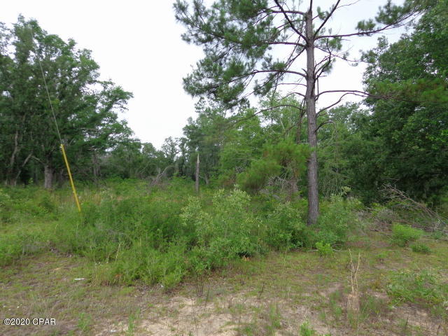 Compass Lake In The Hills - Land